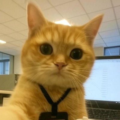 AhmadHo21250243's profile picture. Front-End Developer
