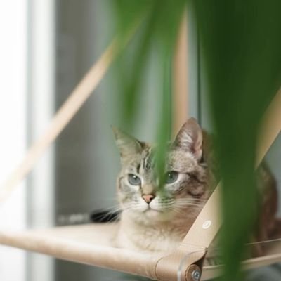 CrisFS8's profile picture. Conservadora vivendo um dia de cada vez, com calma, perseverança e resiliência.