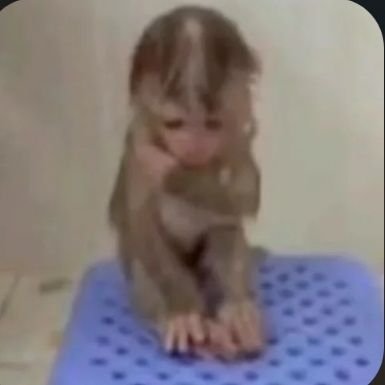 f33linghazy's profile picture. born to be a witch.