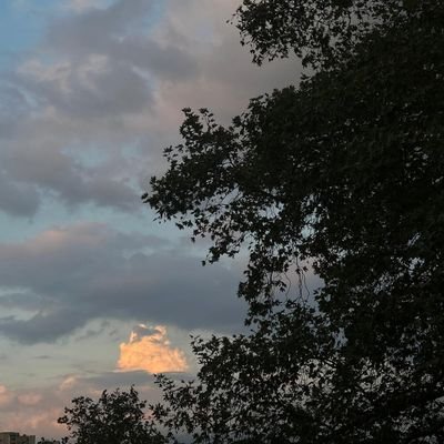 art_vantee's profile picture. 