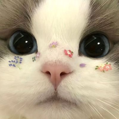 akinop1's profile picture. 