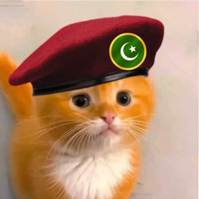 SamiTheAlien's profile picture. Meow. 🍊🐈 I travel spaces & listen to hooman views; but NEVER talk. Let me listen. Stop removing me!!! Send Co-Host. Cute Red Flag. DM if you like cats 🐱