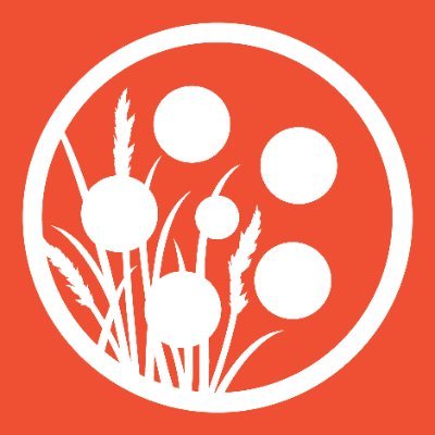 heartlandfilm's profile picture. 📍 Indy
Indy Shorts #9: July 2026
Heartland International Film Festival (HIFF) #35: October 2026