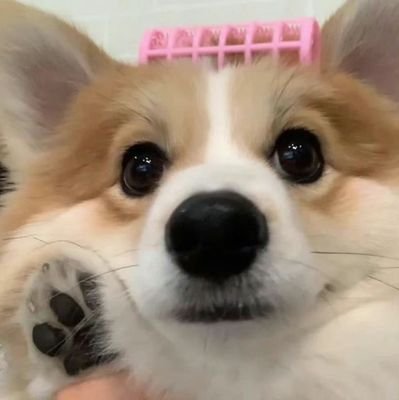 wsadqwer123456's profile picture. 