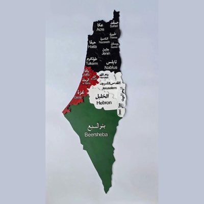 Reem_Alomari_'s profile picture. 