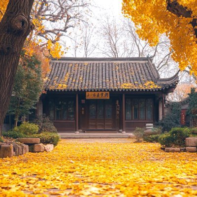 andyliu1024's profile picture. 独立开发者，仅聊技术和生活，仅代表个人观点，个人主页/咨询服务：https://t.co/eoJsSFoWCJ