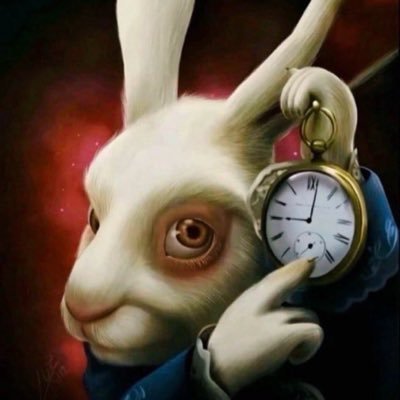 DixyTv's profile picture. $TSLA investor here to be entertained