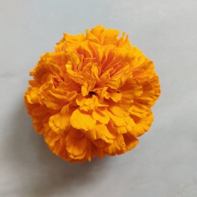 mallu_weirdo's profile picture. 