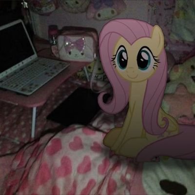 Mr_foxman_'s profile picture. I have nothing better to do with my life.