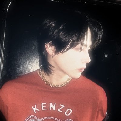 piscesmayybe's profile picture. 𓂃˖˳ 花様年華 ⋆˙⟡ bts andteam enha p1h bonedo