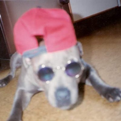 SeanPatrickTag1's profile picture. 