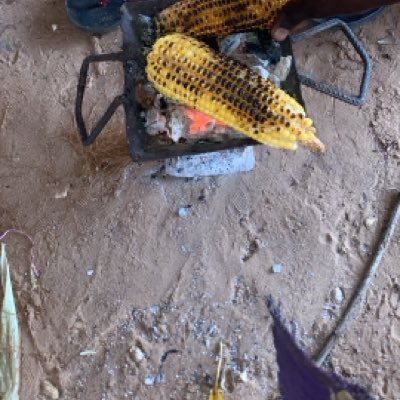 Bubacarr750571's profile picture. 