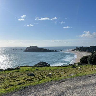 jonghyun811216's profile picture. 부동산 실전 투자자 | 부동산 투자 10년차 | 서울, 1기 신도시 투자 | 단지내상가
집값 변동·단지내상가 알짜 매물 공유 | DM으로 무료 상담 OK 💰🏠
#부동산 #단지내상가 #아파트 #재건축