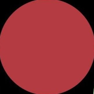 fixonir's profile picture.