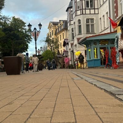 SerdarBulut1202's profile picture. 