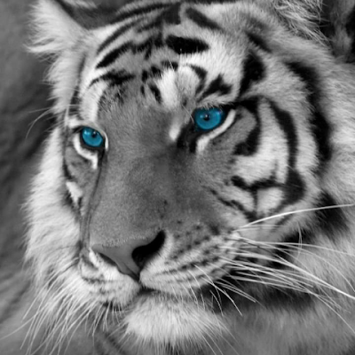 ivanmym11's profile picture. 🌎🌱