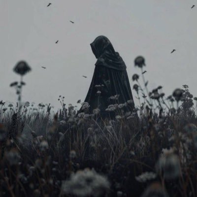 xreaptor's profile picture. Analyst, Krakhead and Polymath. NO FINANCIAL ADVISE.