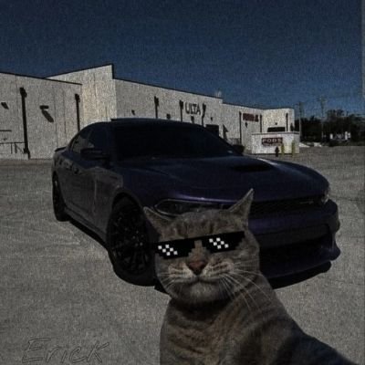 GamingPg8's profile picture. Exploring the world of finance. Sharing thoughts on investing, trading, || VCP || Stock Trader || Master of stock options |
🇮🇳