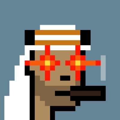 FarzadXBT's profile picture. Bitcoin OG | Currently Investing @BTCTreasuryCorp | Advisor @Uniswap | Member @Safaryclub 🦁