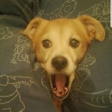 Q_Soraya's profile picture. 🤍REAL MADRID🤍  Fútbol ⚽️  Basket🏀 PlayStation 🎮  Cine terror, Series & Realitys📺  Música 🎶