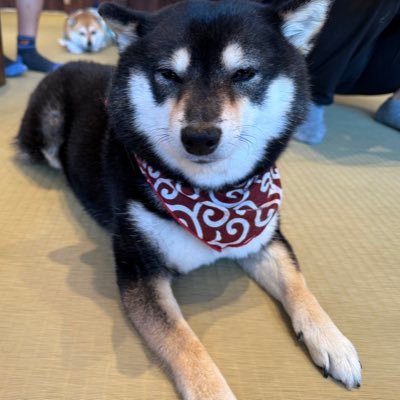 denken33333's profile picture. 電験３種勉強用アカウントです。無言フォロー失礼いたします🙇🏻