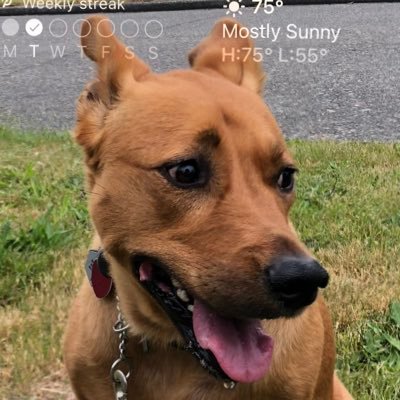 markrfuller's profile picture. 