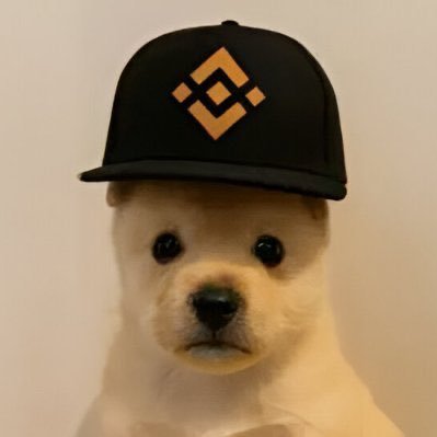 pupXbnb11's profile picture. bnb upside down is PUP! TG: https://t.co/j5NgDDKqd9 🐶 $PUP: 0x73b84f7e3901f39fc29f3704a03126d317ab4444