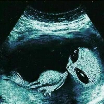 Spaghetti111042's profile picture. 