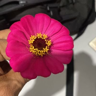 Marivan03595763's profile picture.