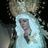 pachecosanlucar's profile image