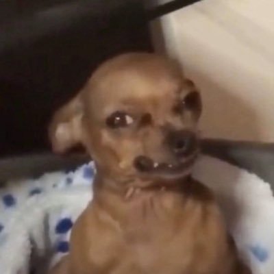 heykxss's profile picture. Educated • God • Capricorn