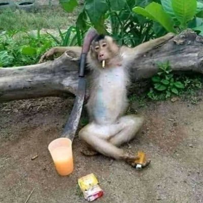 zenith00line's profile picture. 🧟 kapasitesiz yetmez. Türkçü 🇹🇷