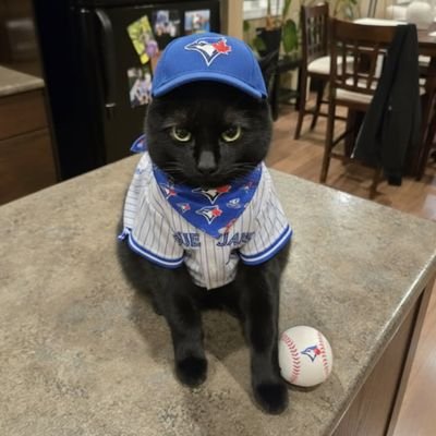 ledgeviewgolfcl's profile picture. 🐃🇨🇦🛢
All in Canadian oil