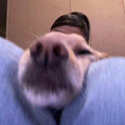 deedeezinho's profile picture. 👾