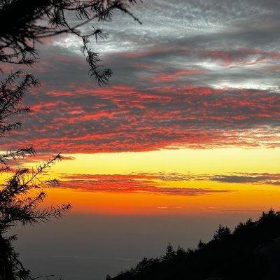 lhl200301021632's profile picture. 