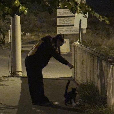 hassasbiri23's profile picture. yemyeşil ormanların'da kaybolmak dileğiyle...