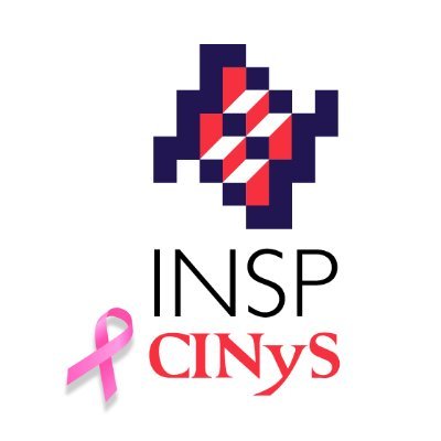 CINyS - INSP Profile
