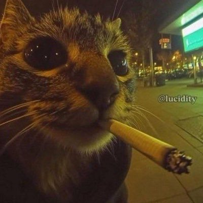 sauce123456781's profile picture. Propaganda
