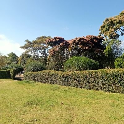 MissLisaKaberia's profile picture. Human|@arsenal