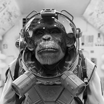 marcelougarriza's profile picture. I stood tip-toe upon a little hill...