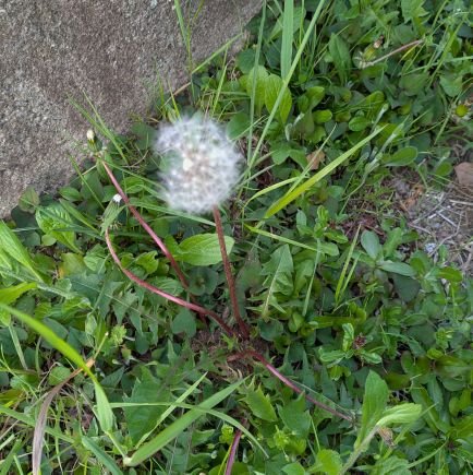 BlEsukd0lU14210's profile picture. 