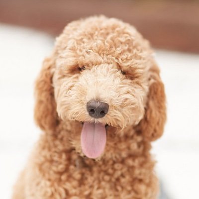 JaysenTrades's profile picture. 