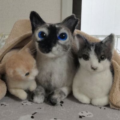 lHmjJZ0X7aAwt2V's profile picture. 私が癌になるなんて？2023 年8月Ｓ状結腸癌ステージⅣ多発肝転移、肺転移、原発部&リンパ切除手術後、2024年4月肝臓転移手術、抗がん剤治療中🥲可能なら15年生きたい！
病気の事、日常の事、推し（ゴールデンボンバー♥💚）の事、趣味の石や街化石の事など