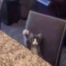 omadaze's profile picture. Moneymancer the only spell I know is summon dollar