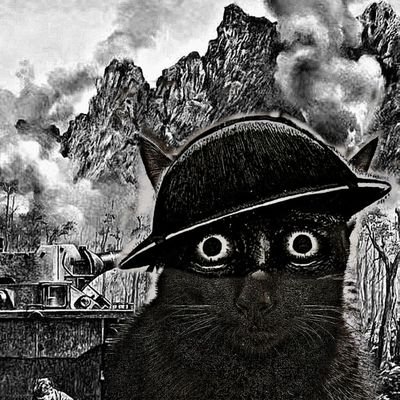 usrbinfish's profile picture. building @ImagikaAI