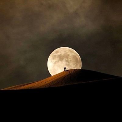 y17788's profile picture. 