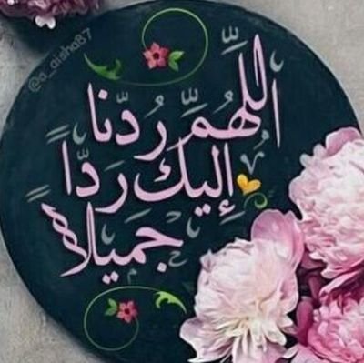 Zeinab7773's profile picture. 