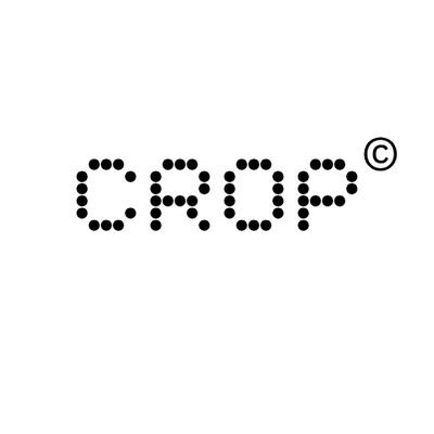parthiv_chakma's profile picture. Nothing community| concept designer| tech savvy|CROP