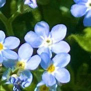 810qpdream's profile picture. 🔖📗