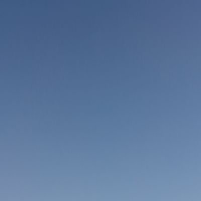 ALAN1689221116's profile picture. 